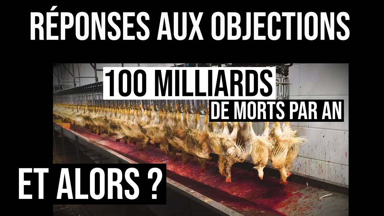 Les objections : tout ce qui ne va pas dans cet argument