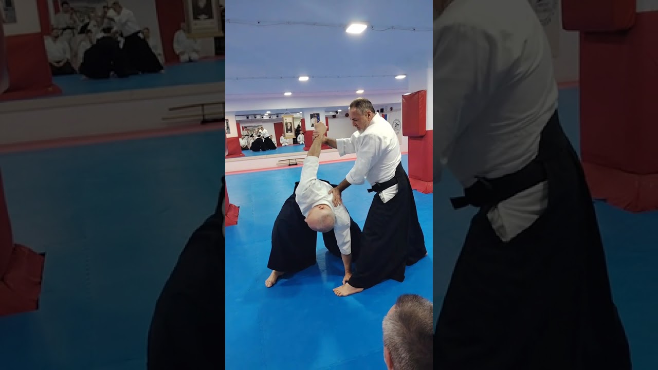 #aikido #class with Beckovic Edin