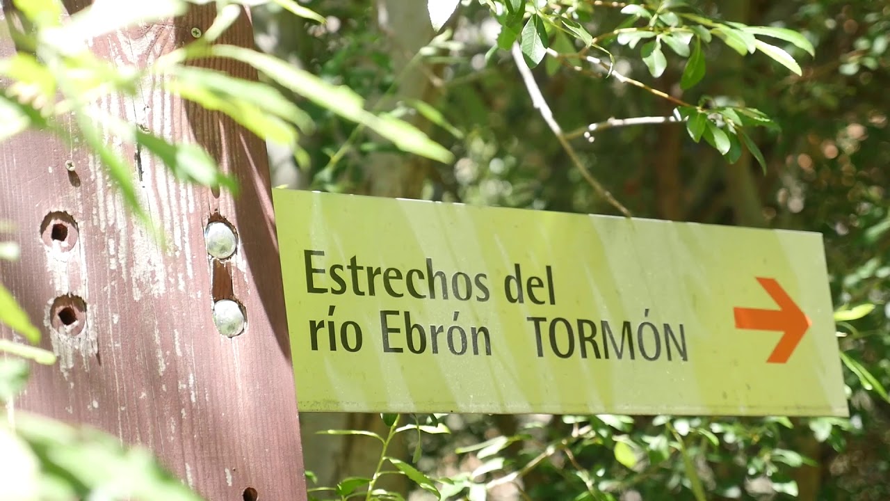 El cuervo y estrechos del río Ebrón
