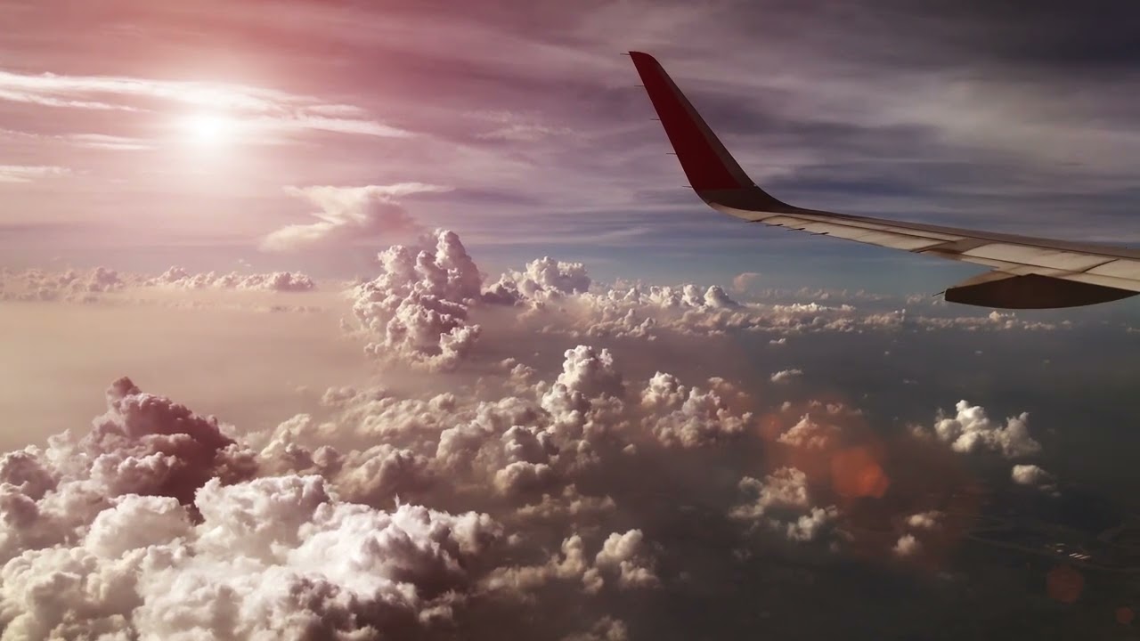 booya feat. Aria Halo - We are alive (Original Mix)