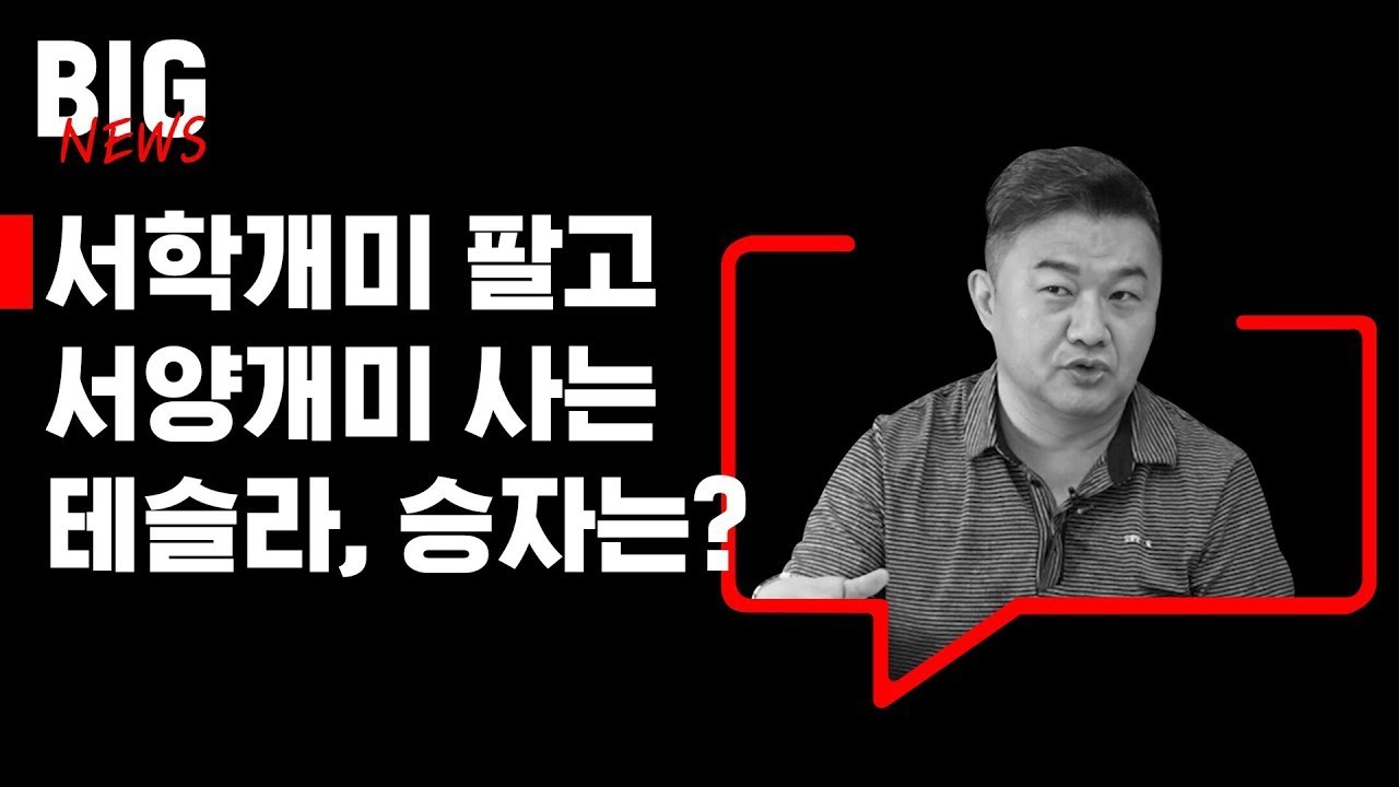서학개미 팔고 서양개미 사는 테슬라&hellip; 승자는? [빅뉴스]