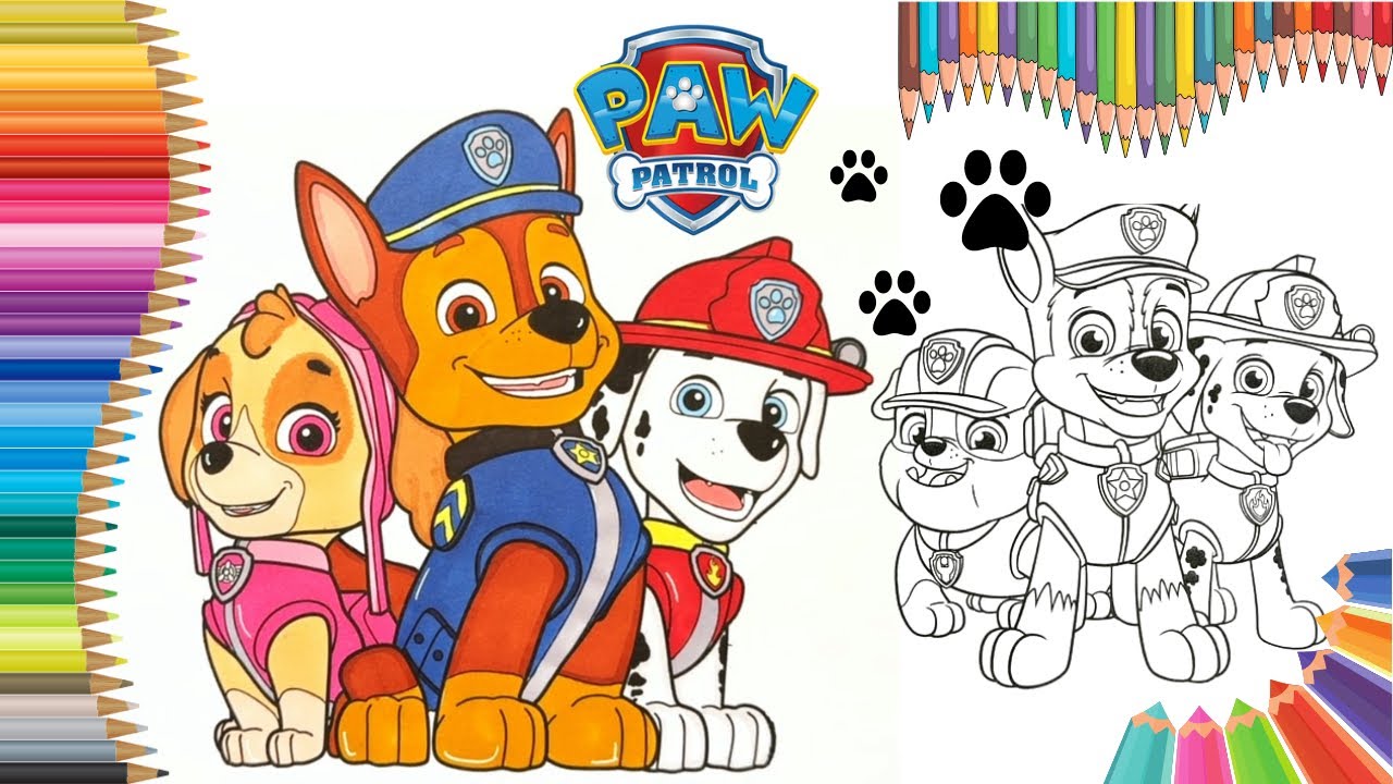 Coloring Paw Patrol Characters Chase Skye Marshall | Paw Patrol Coloring Book Pages | Hero Puppies