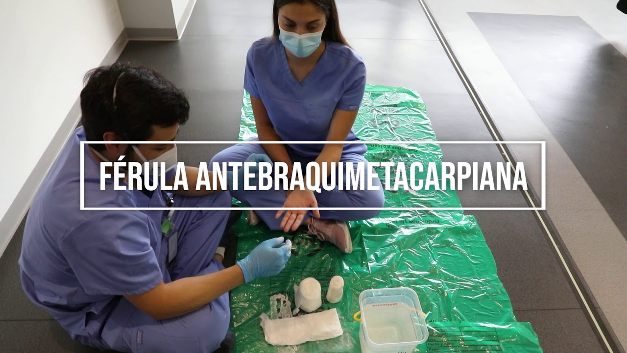 Férula antibraquimetacarpiana