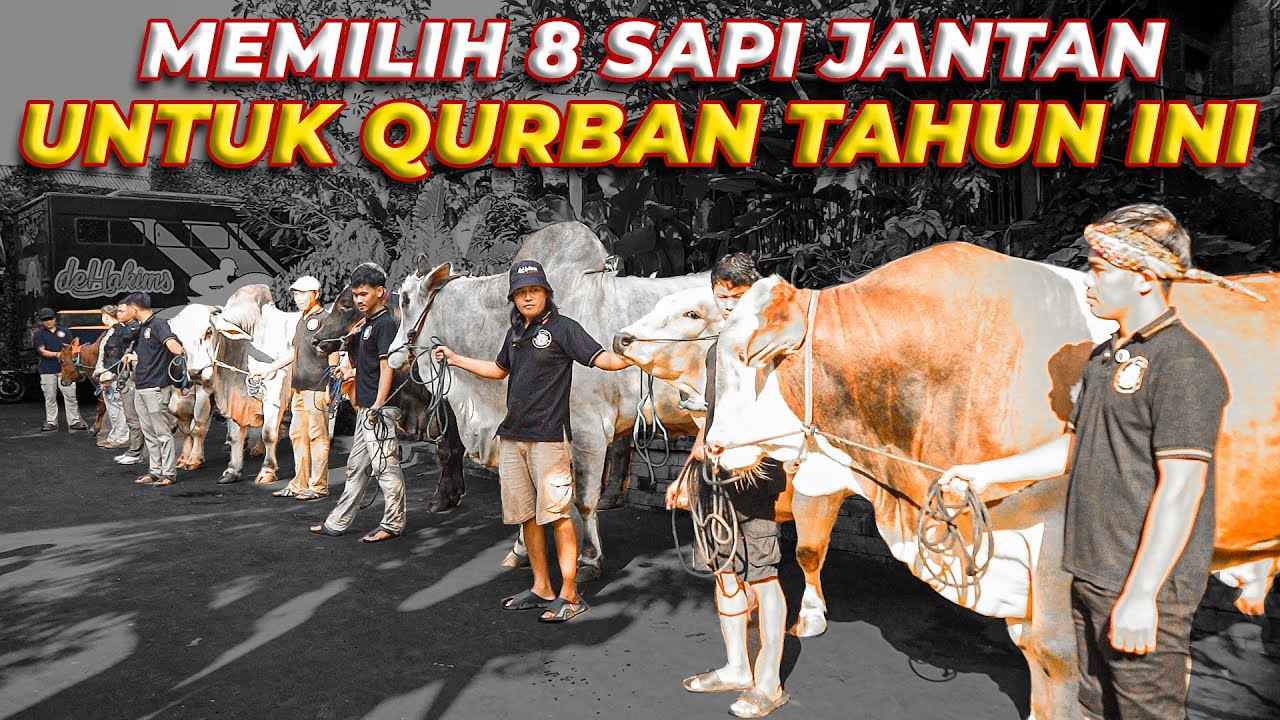 BANTU GW PILIH SAPI MANA YANG DIQURBANKAN TAHUN INI..!