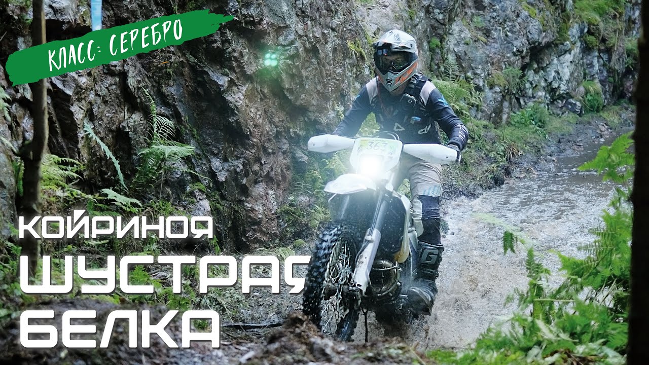 ШУСТРАЯ БЕЛКА 2025, II этап. Новый трек: КОЙРИНОЯ. Класс: серебро