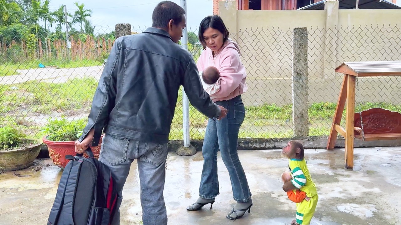 Heartbreaking Farewell! CUTIS's Tearful Goodbye Before Baby's Journey!