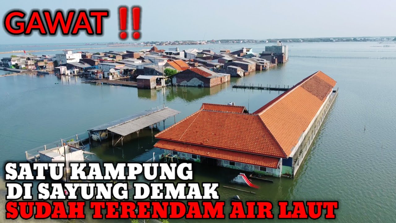 SAYUNG DEMAK SUDAH TERENDAM AIR LAUT BAKAL TENGGELAM