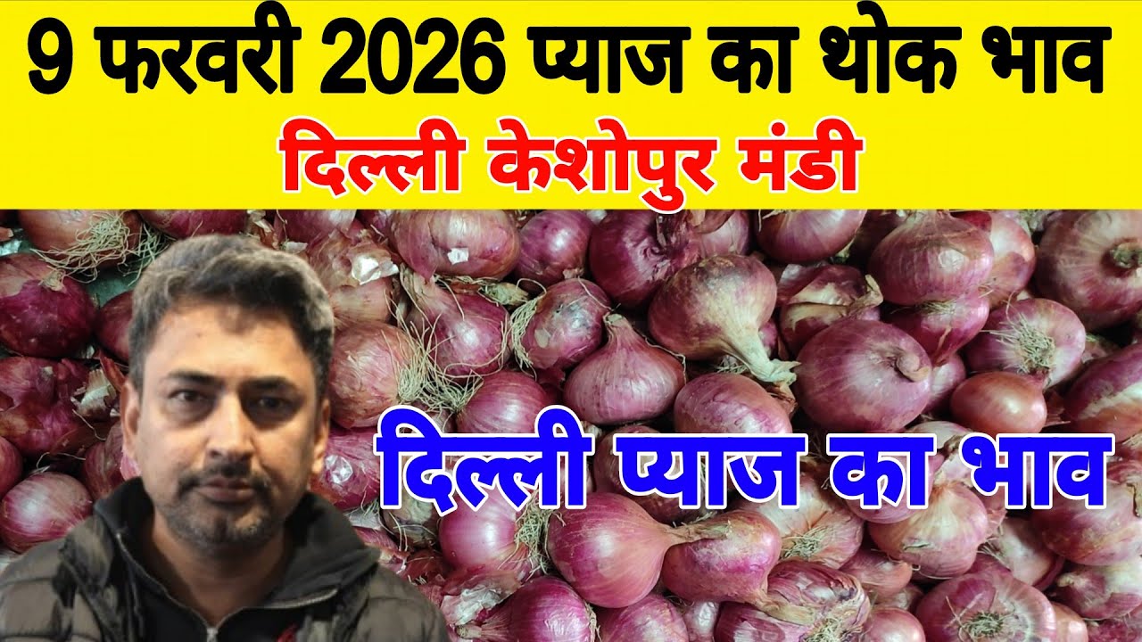 दिल्ली केशोपुर मंडी | 🧅Today onion rates | Today Onion price | Piyaj | 9 Feb 2026 #pyaj #mandiprices