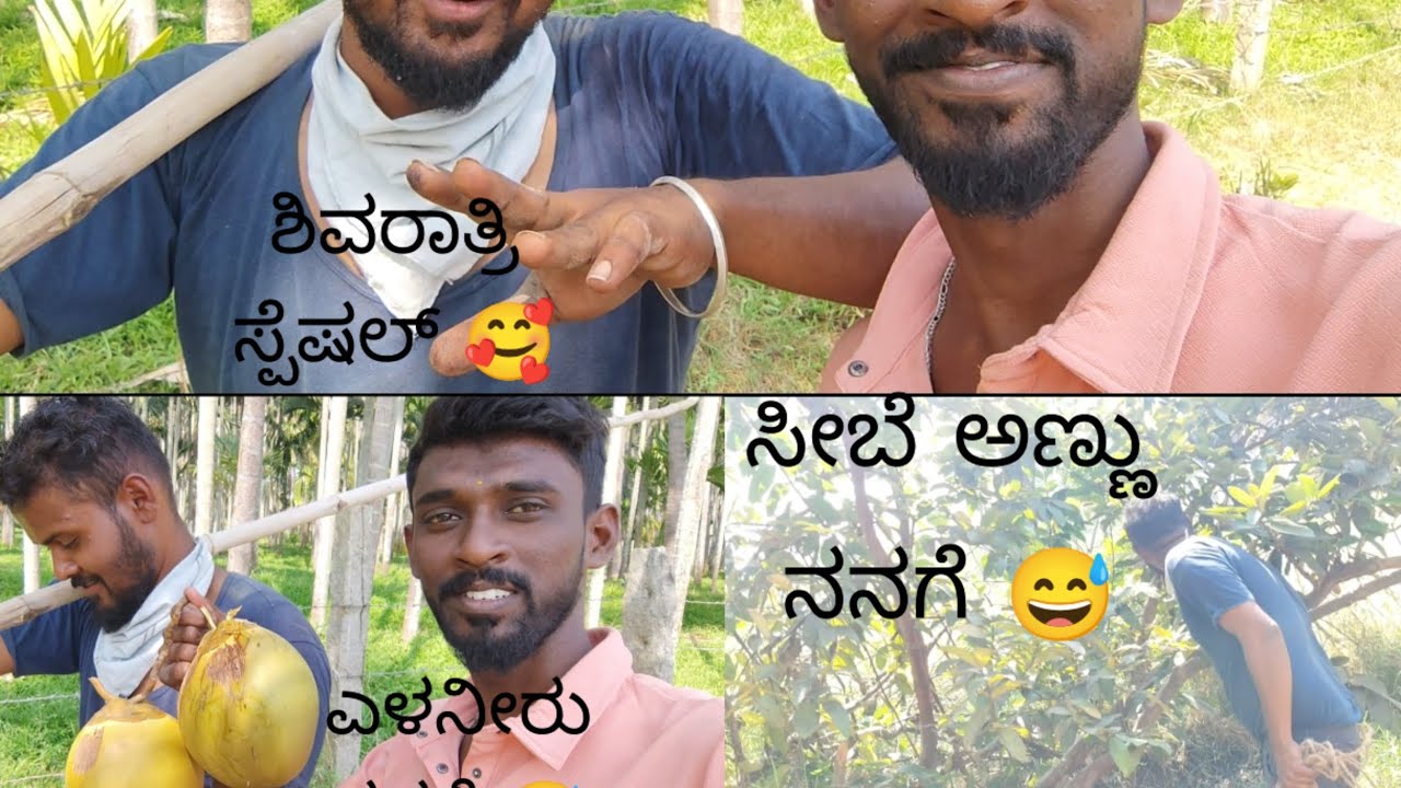 ಶಿವರಾತ್ರಿ ಸ್ಪೆಷಲ್ ವಿಡಿಯೋ   🥰@Myview0.7 @madhugowda06 