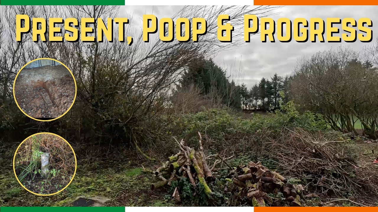Present, Poop & Progress