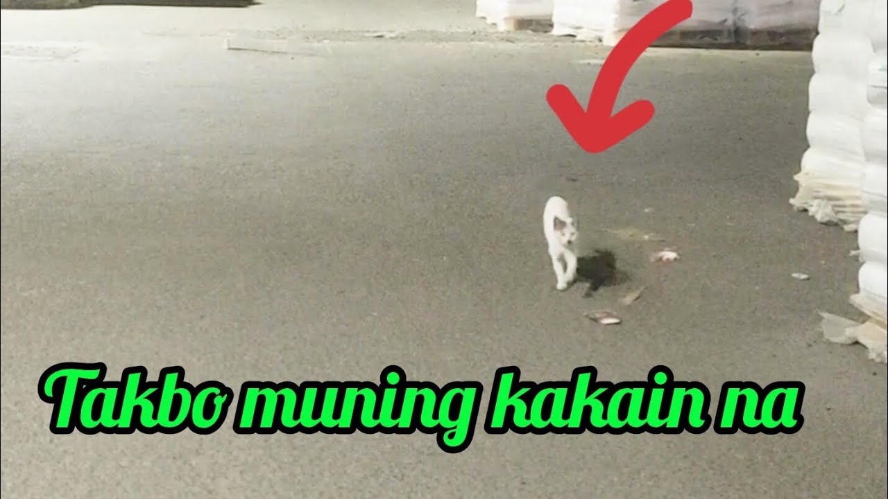 Takbo muning kakain na @Pinoykatvofficial 