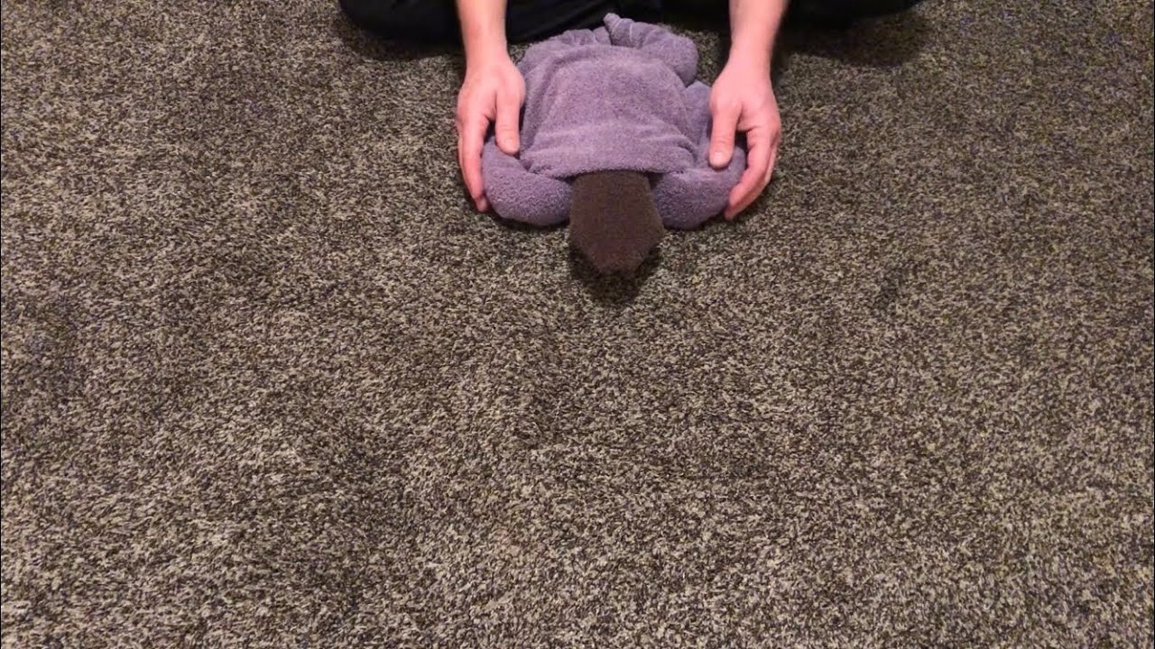 ASMR, animal towel folding.