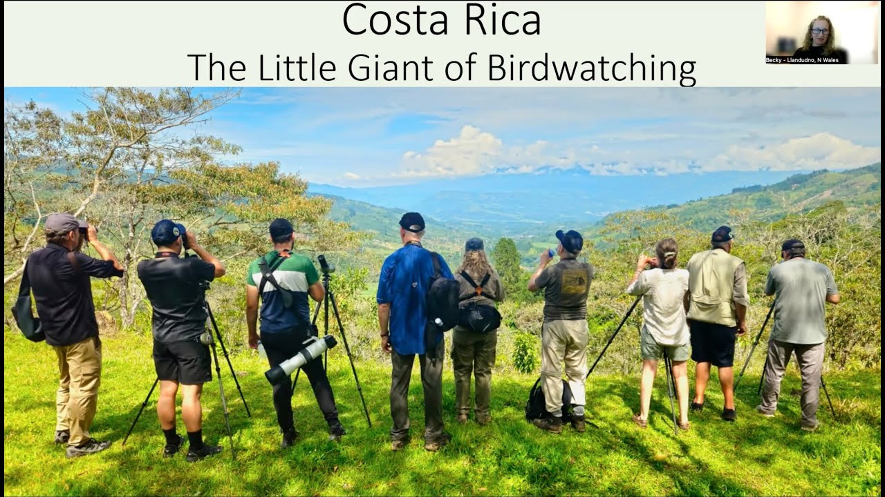 Costa Rica: The Little Giant of Birdwatching with Rebecca Clews-Roberts