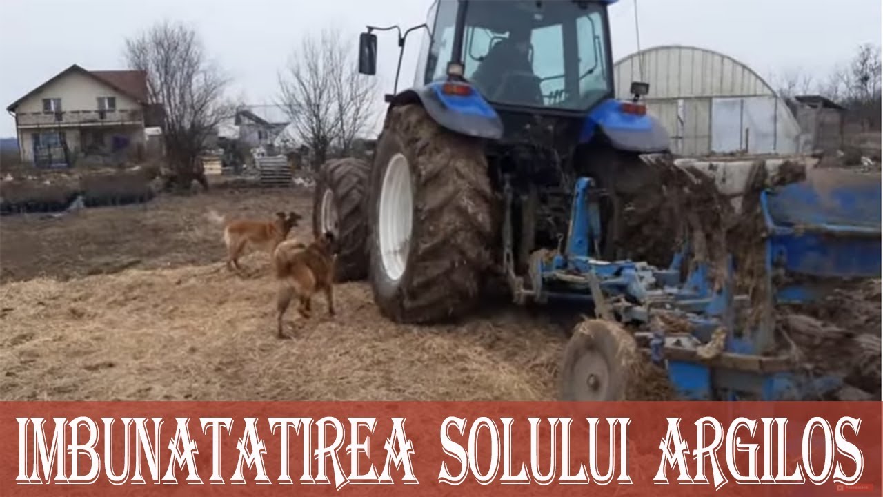 Cum transformi usor un sol luto-argilos intr-un sol fertil  pe care sa cultivi orice.