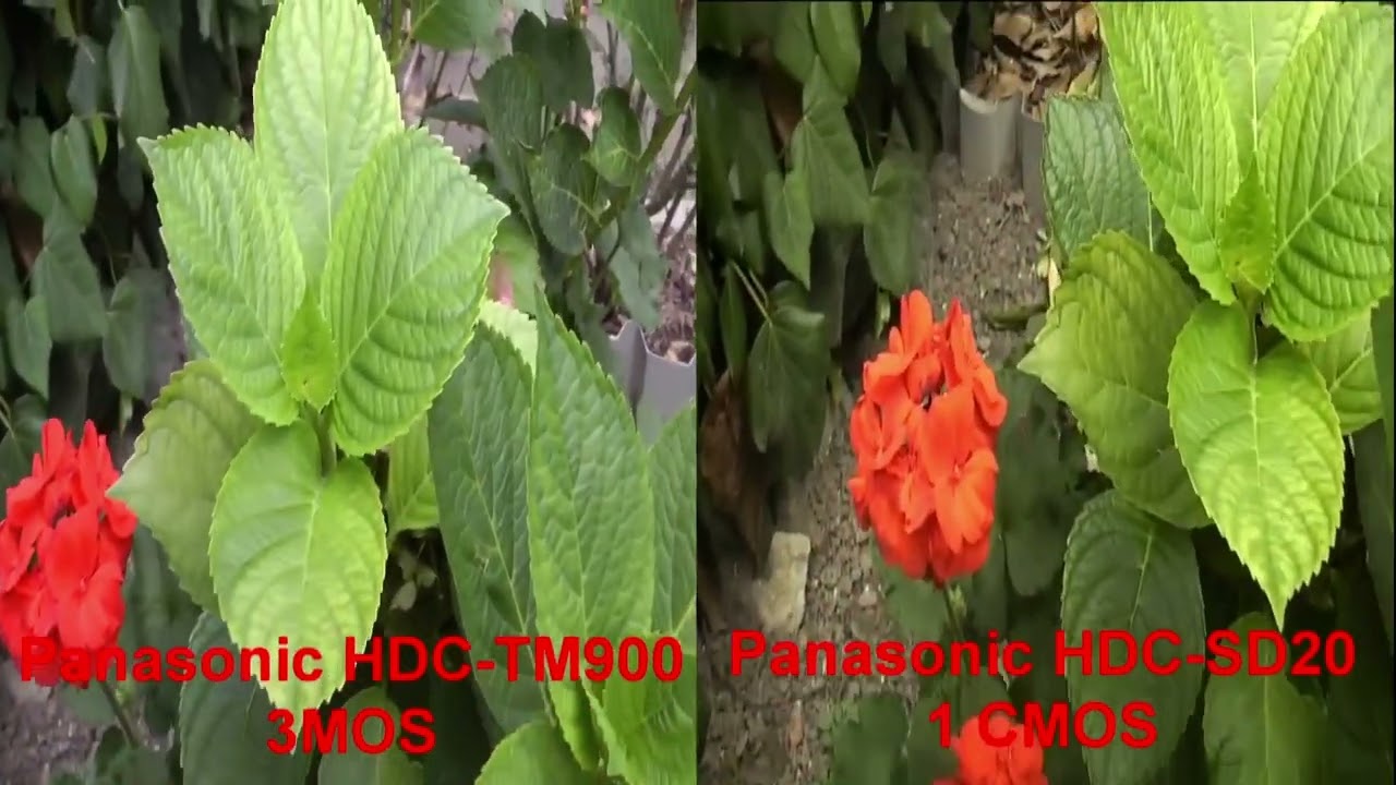 CMOS vs 3MOS
