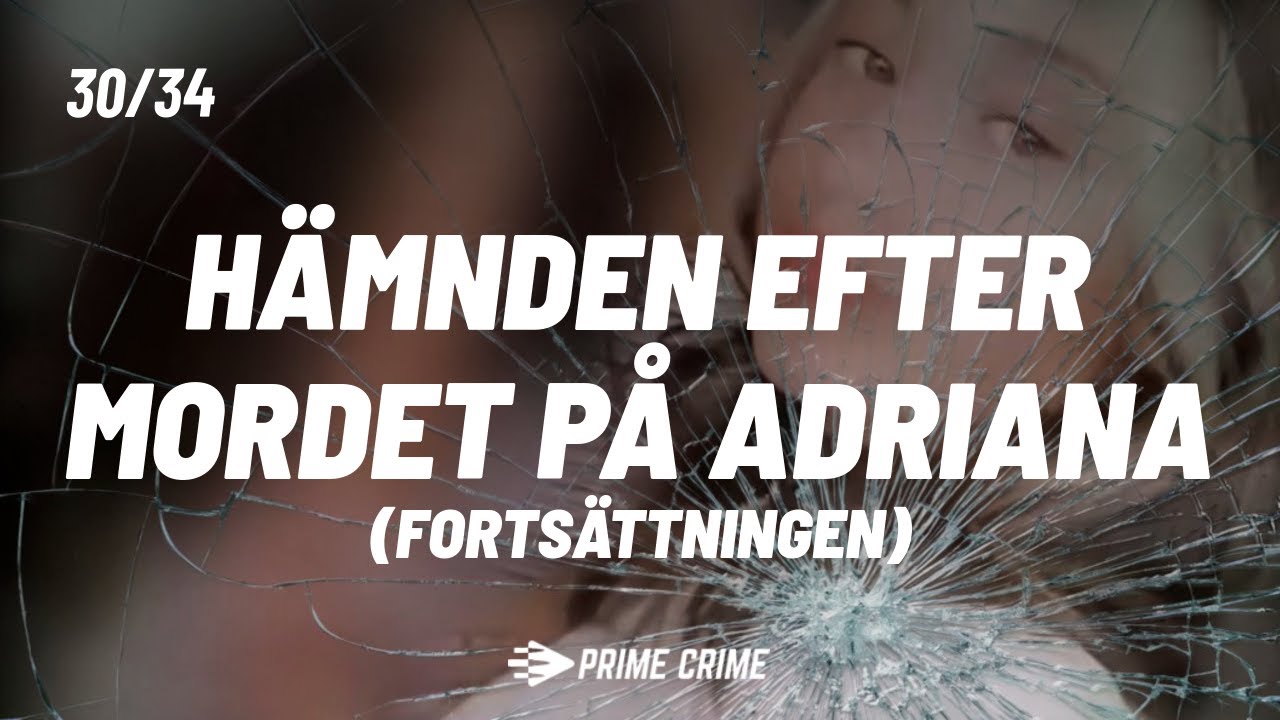 H&auml;mnden efter mordet p&aring; Adriana (Forts&auml;ttningen) - David Massi, Offentlig f&ouml;rsvarare Slutpl&auml;dering