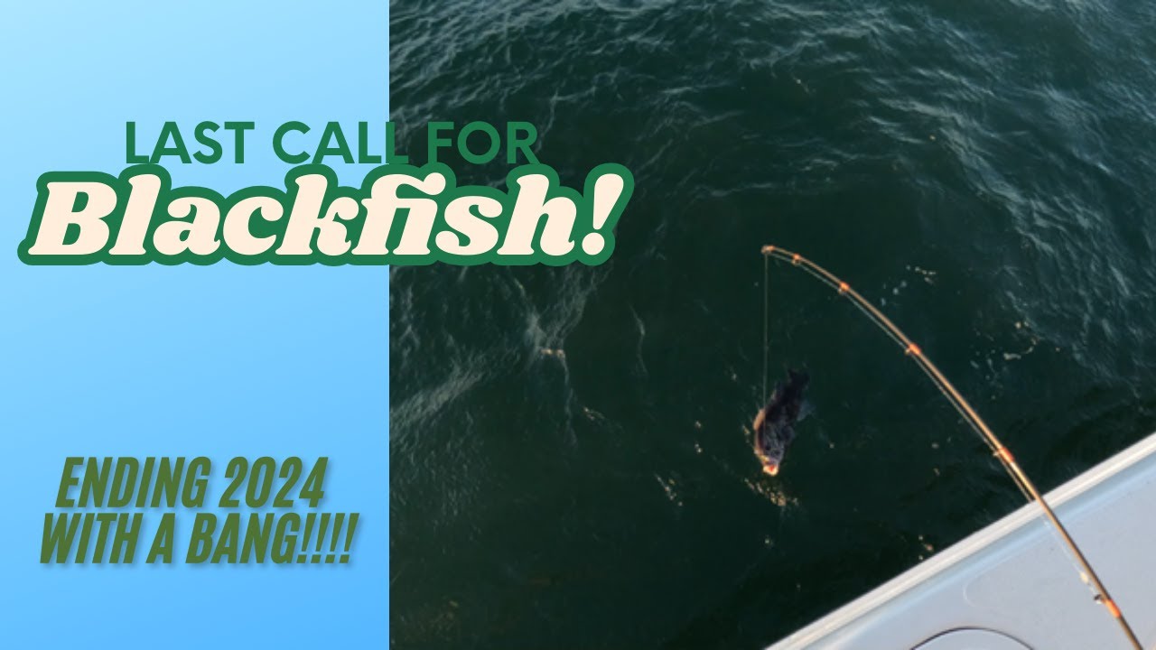 Последний шанс поймать чёрную рыбу на Лонг-Айленде! Последняя поездка на отдых в 2024 году!