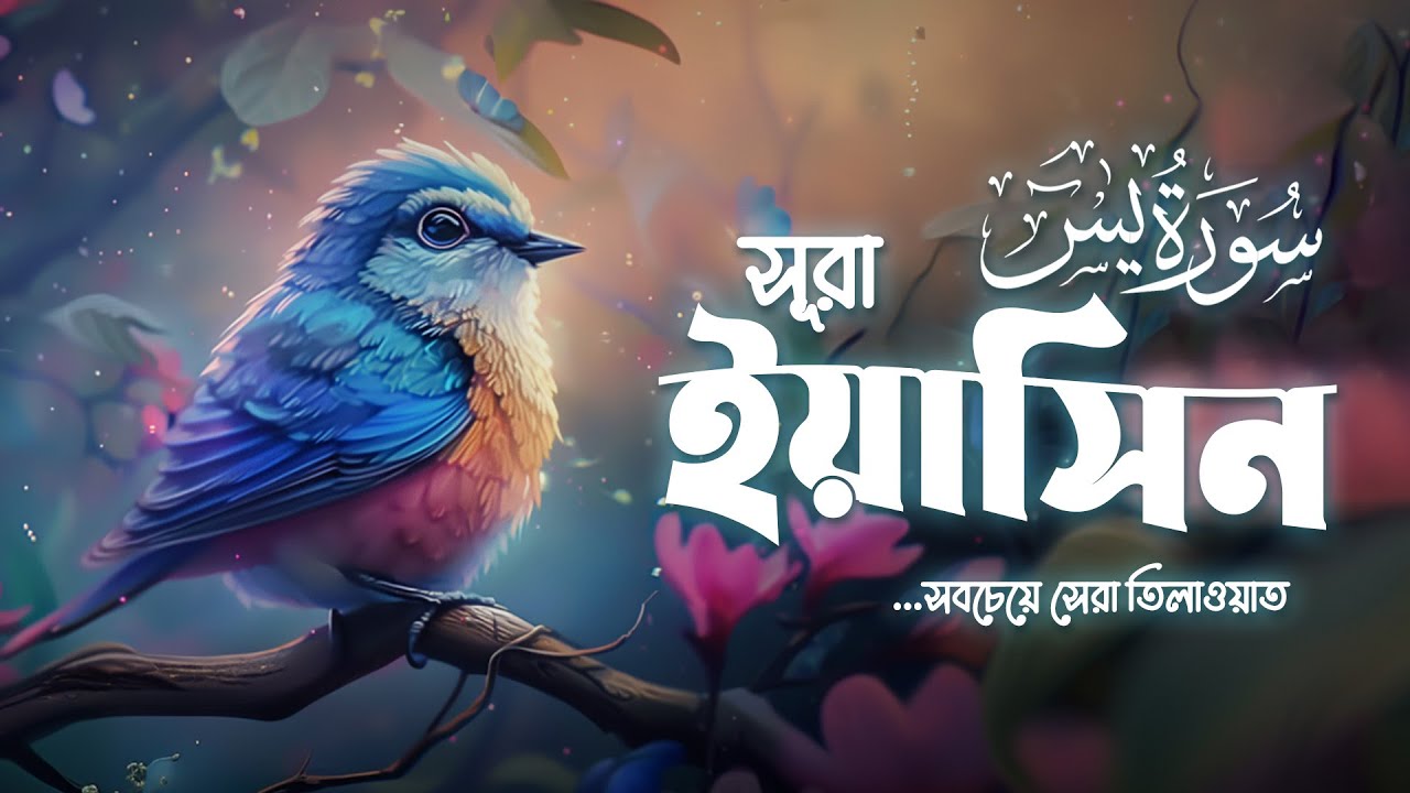 অন্তর শীতল করা মায়াবী কণ্ঠে সূরা ইয়াসীন ( سورة يس)┇Calming Recitation Surah Yasin by Alaa' Aqel