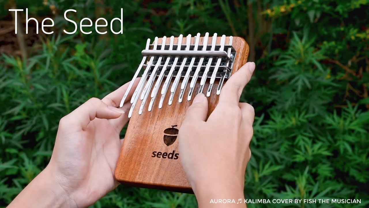 AURORA - The Seed (Seeds kalimba cover by Fish the Musician)