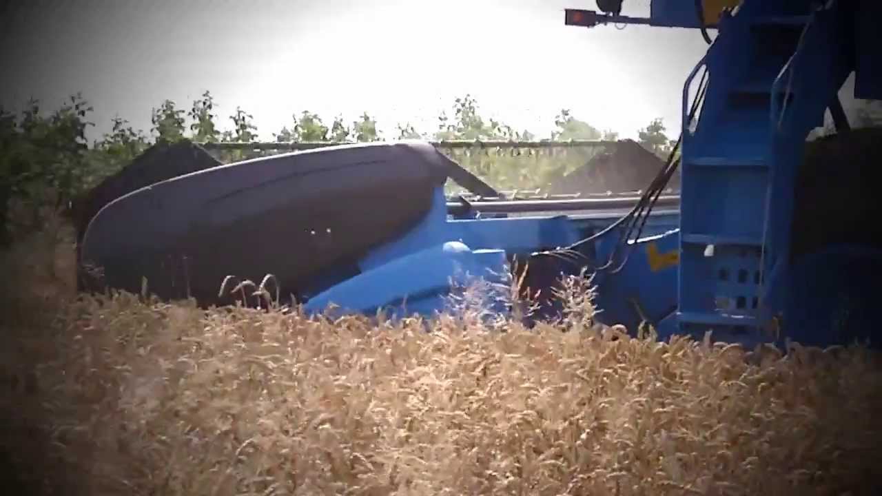 Żniwa 2012 Cz.2 Bizon Rekord z058 New Holland