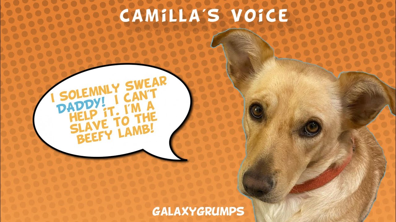 Camilla's Voice: Game Grumps