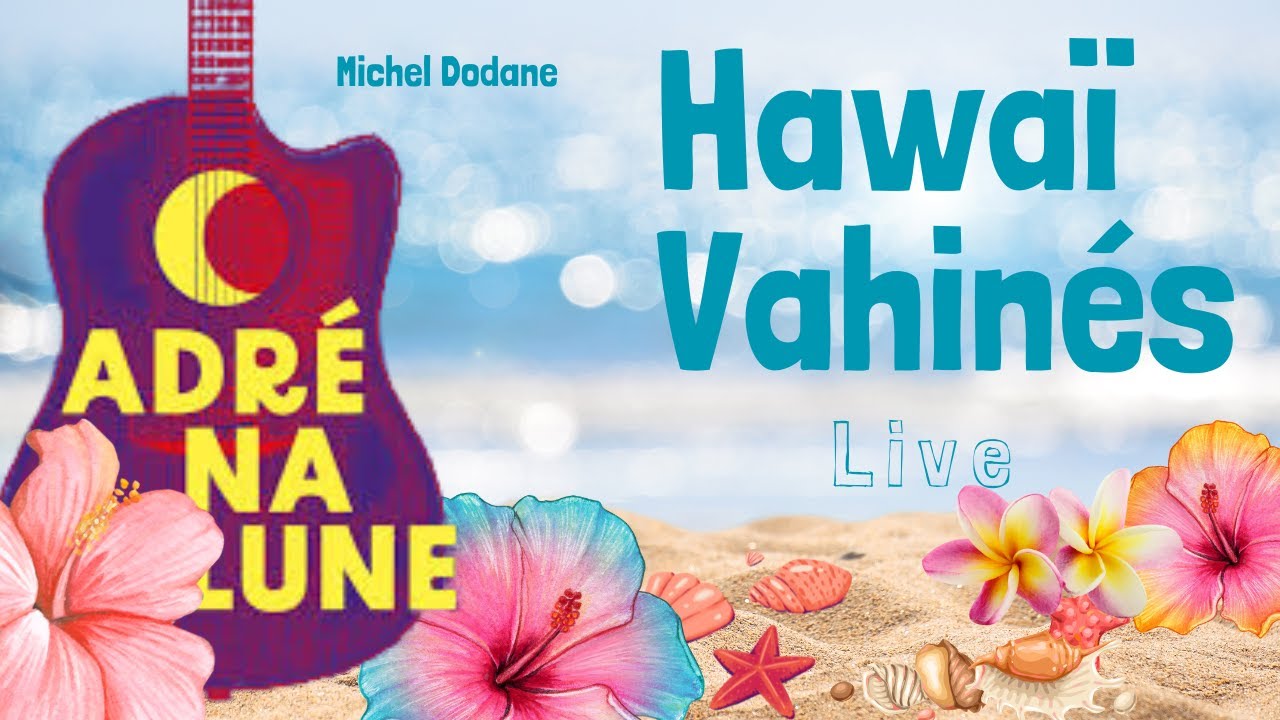 Michel Dodane - Hawa&iuml; Vahin&eacute;s -  Live