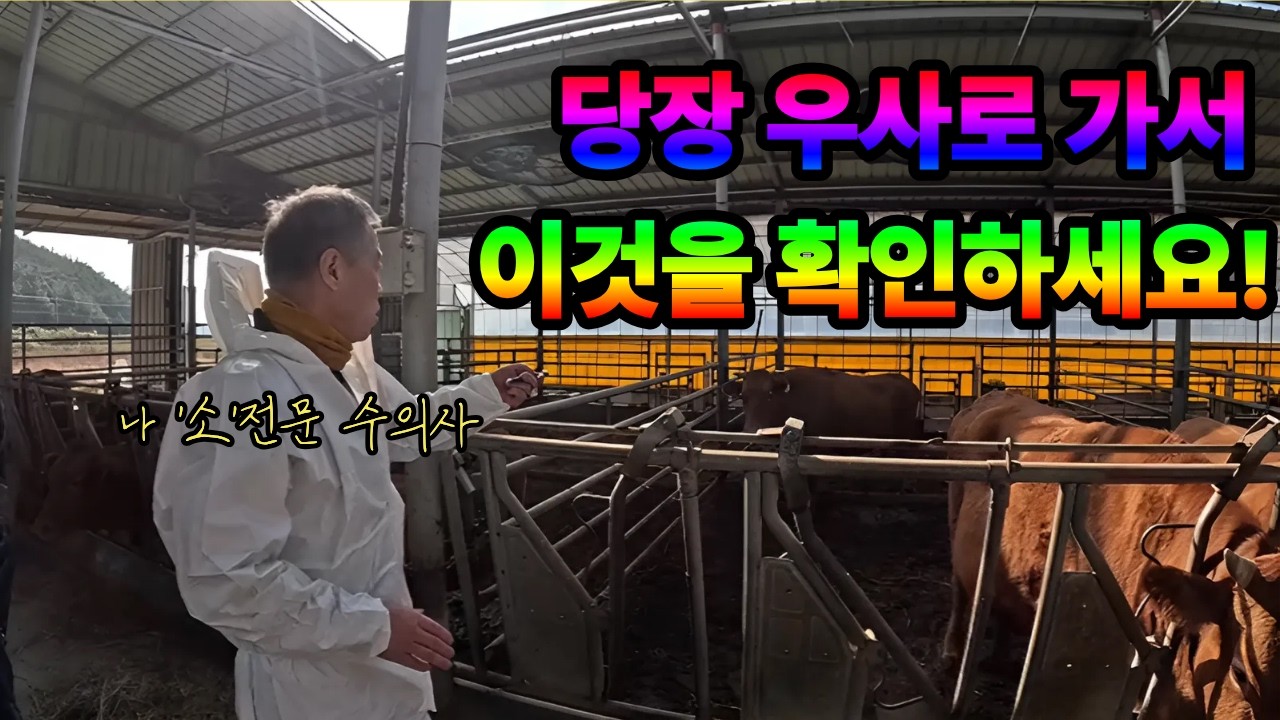 '소' 전문 수의사가 알려주는 소 체크리스트 당장 확인하세요!