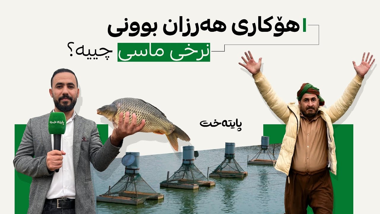 ماسی زۆرە، نرخه‌كه‌شی دابه‌زیوه‌؛ پایته‌خت به‌دواداچوونێكی تایبه‌ت بۆ هه‌رزان بوونی نرخی ماسی ده‌كات