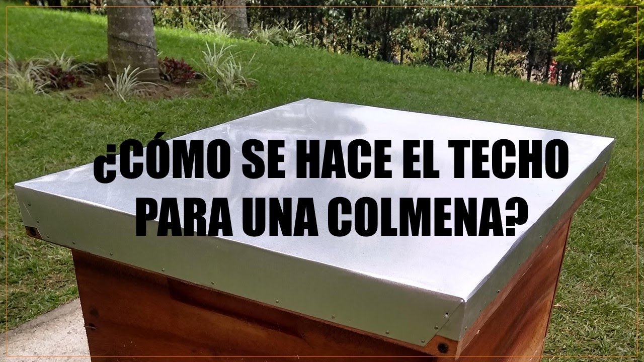 🏖 ¿COMO SE HACE EL TECHO PARA UNA COLMENA?