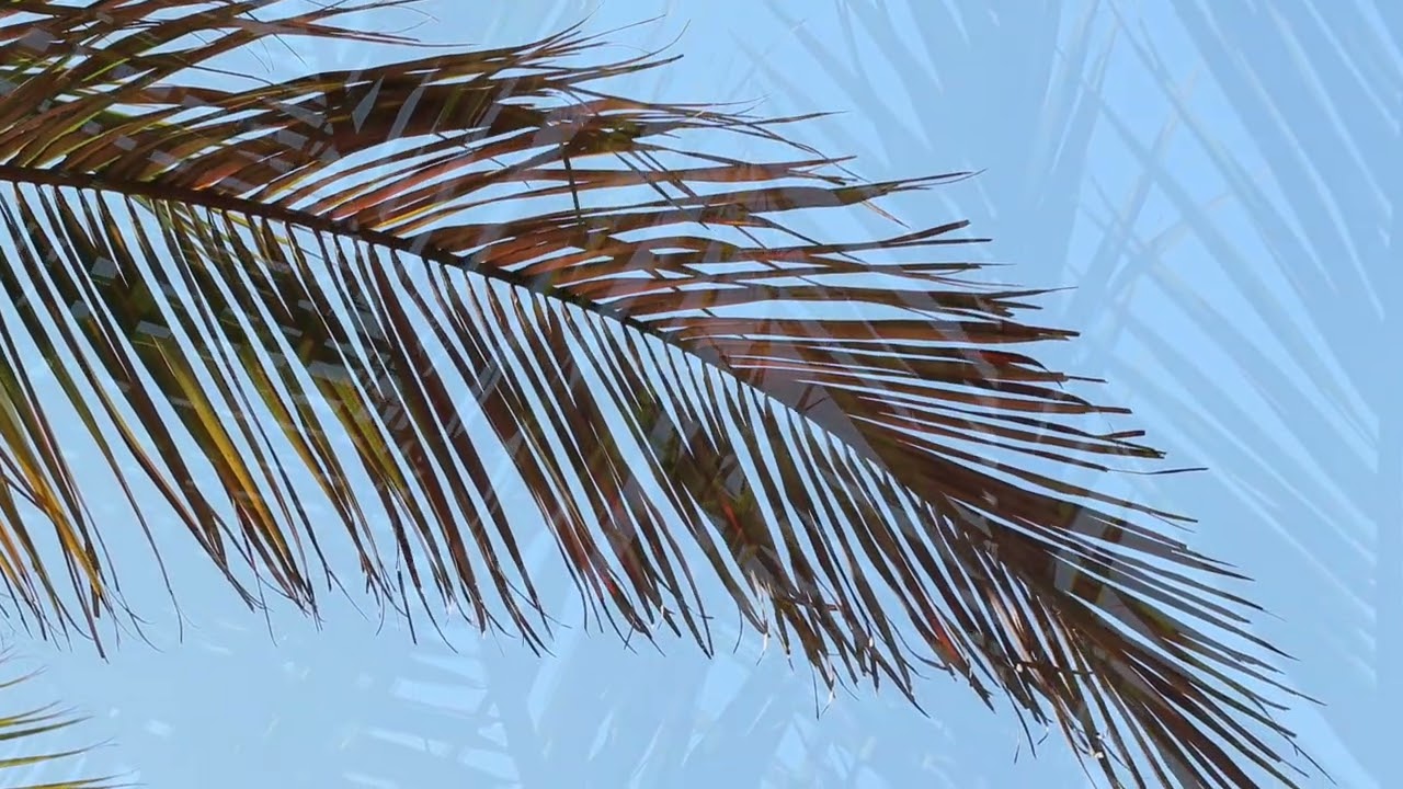 Corcovado