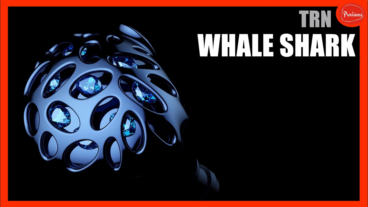 대.단.한.놈이 나왔다..고래상어 Whale Shark TRN [공동구매 포함]