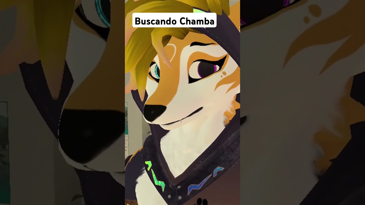 Premio o castigo al FURRITO? 🤔 #furry #furros #vrchat