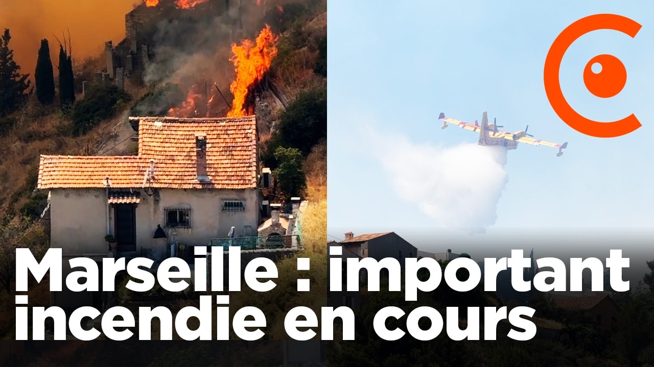 Marseille : un violent incendie détruit 700 hectares au nord de la ville