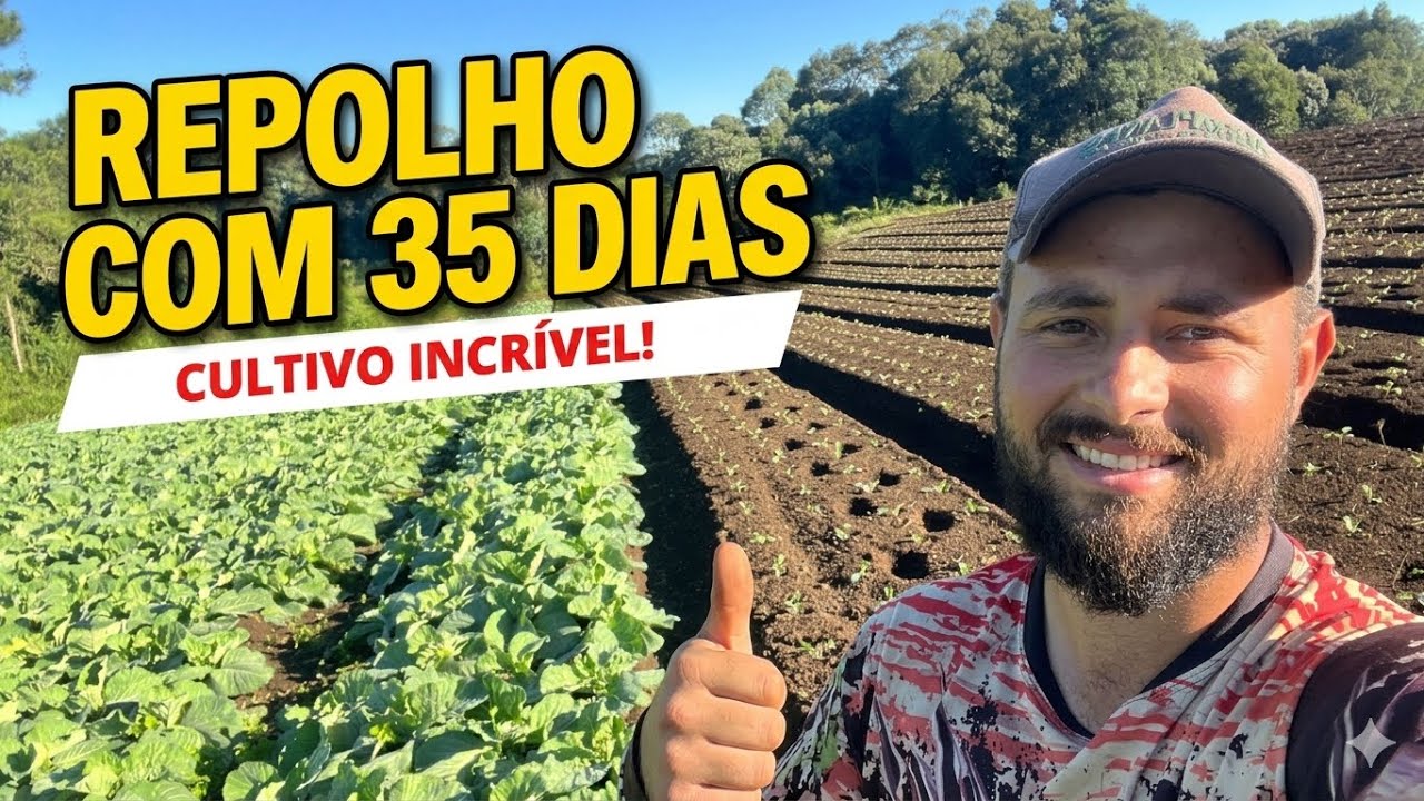 REPOLHO com 35 DIAS vs 7 DIAS de Plantio | Veja a Diferença no Desenvolvimento! 🥬