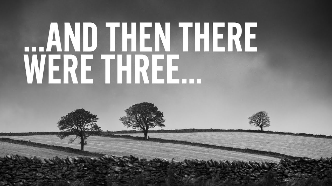 AND THEN THERE WERE THREE... WE LOVE PHOTOGRAPHY