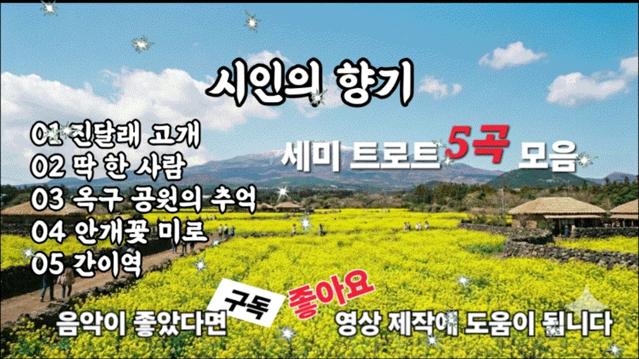 세미트로트5곡모음