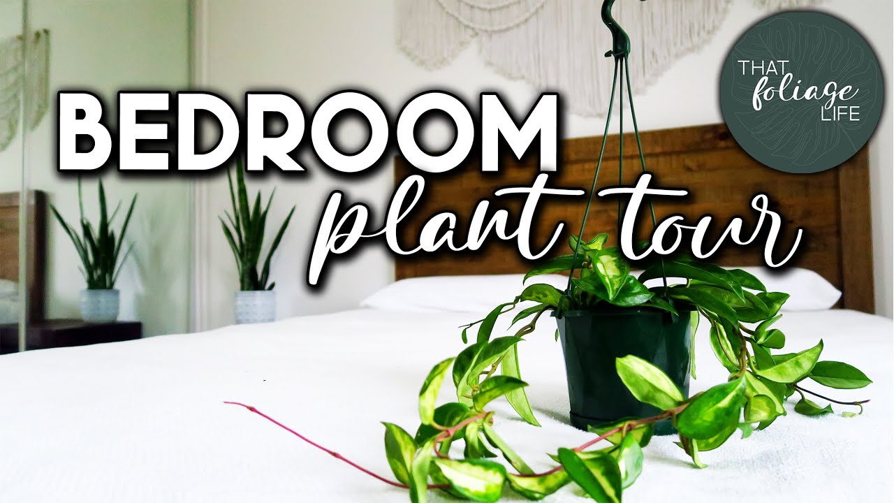 Bedroom Plant Tour (Winter 2021)