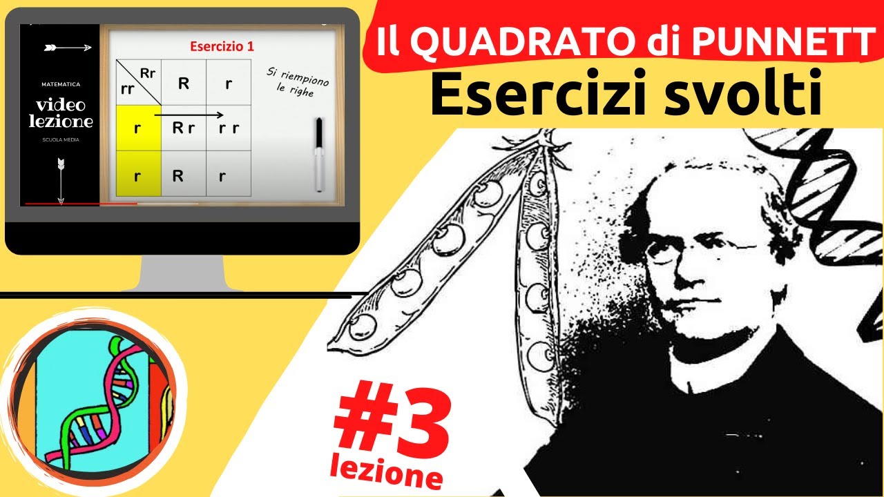 Quadrato di Punnett - Esercizi svolti #3