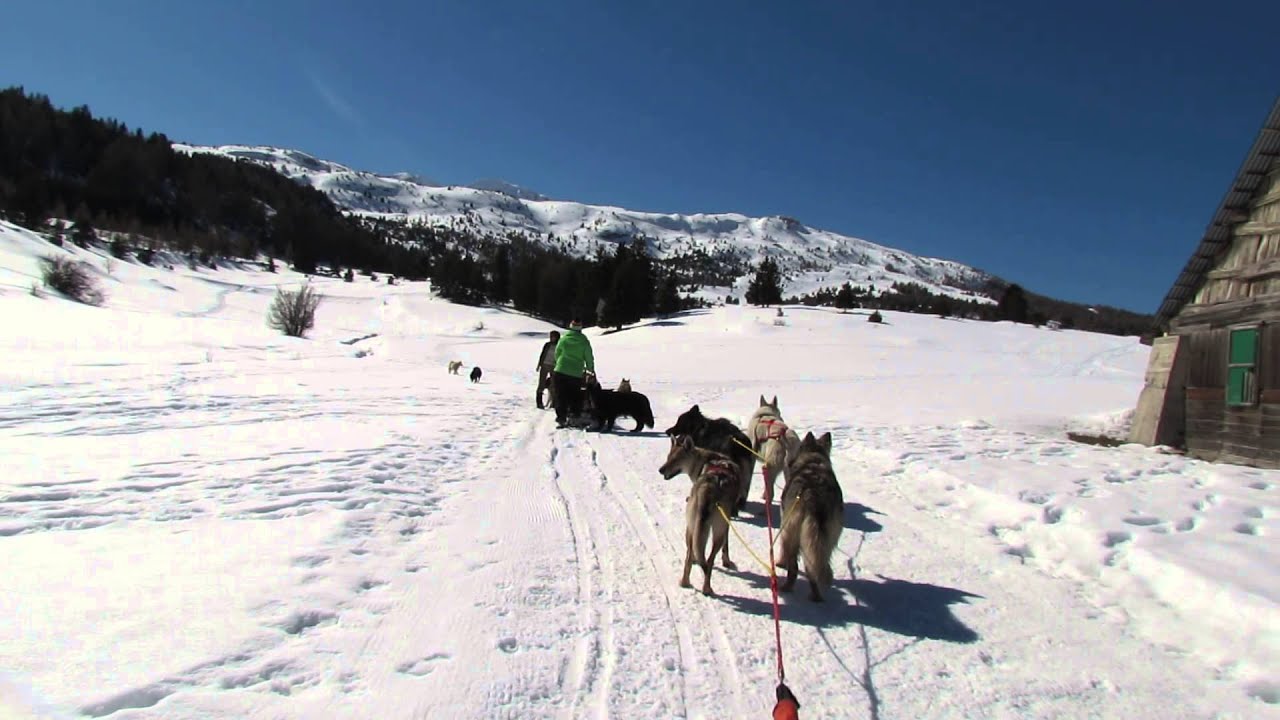 Traineau la Joue du Loup