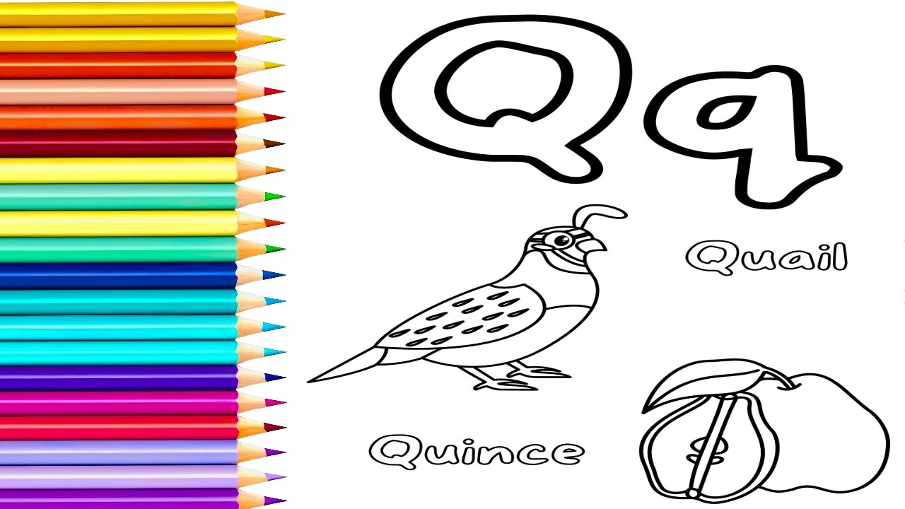 Fun Coloring Q is for Quail and Quince While Learning Phonics #phonics #coloring #alphabet #colors