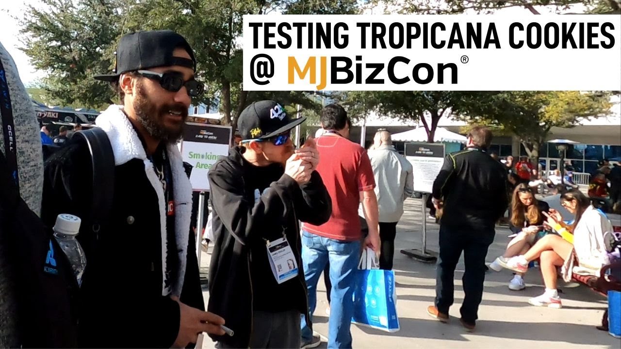 Tropicana Cookies for the win | Testing Fast Buds during MJBIZCON 2023 @icanthc @WatchCLtv