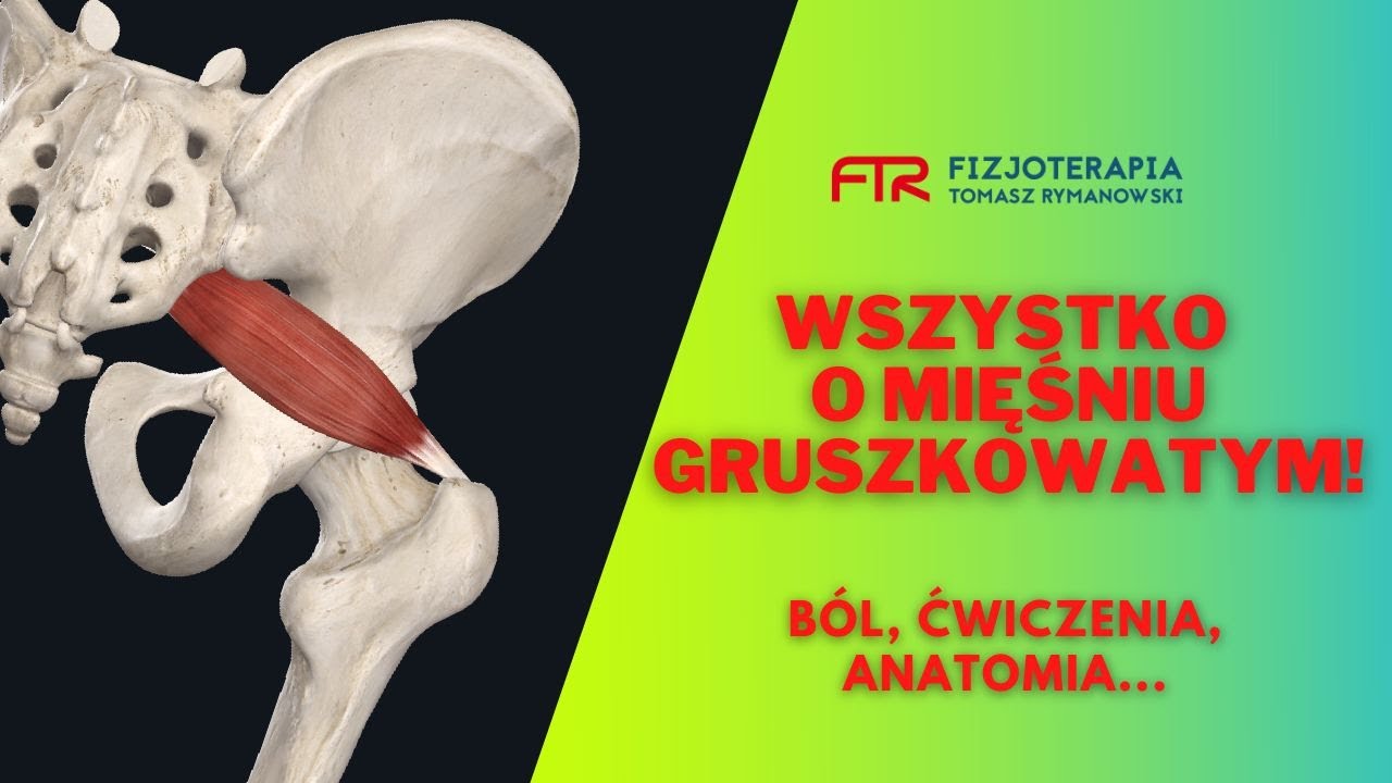 Mięsień gruszkowaty. Skuteczne ćwiczenia mięśnia gruszkowatego. Usuń ból biodra raz na zawsze.