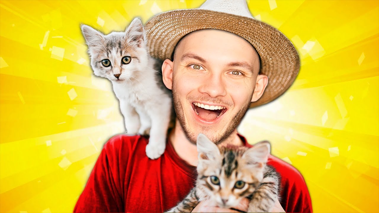 ADOPTOVAL JSEM KOČKU! 🐱😍| Animal Shelter Simulator