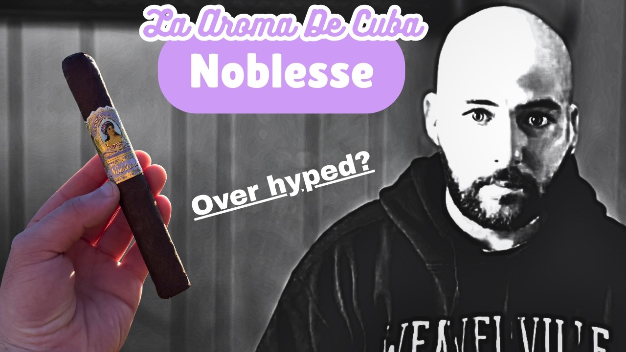 Все ли врут об этом? - Отзыв о Noblesse