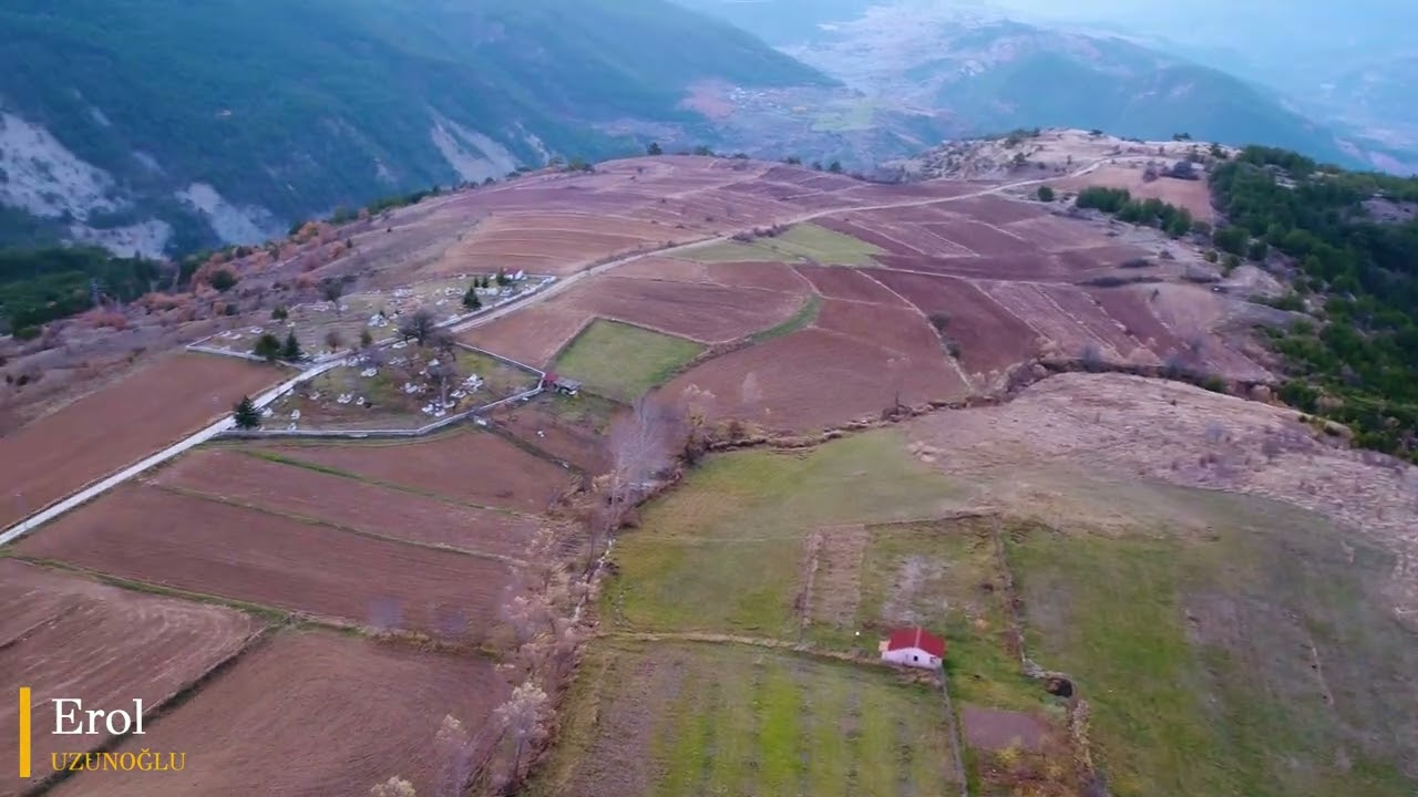 Sarıalan Köyü