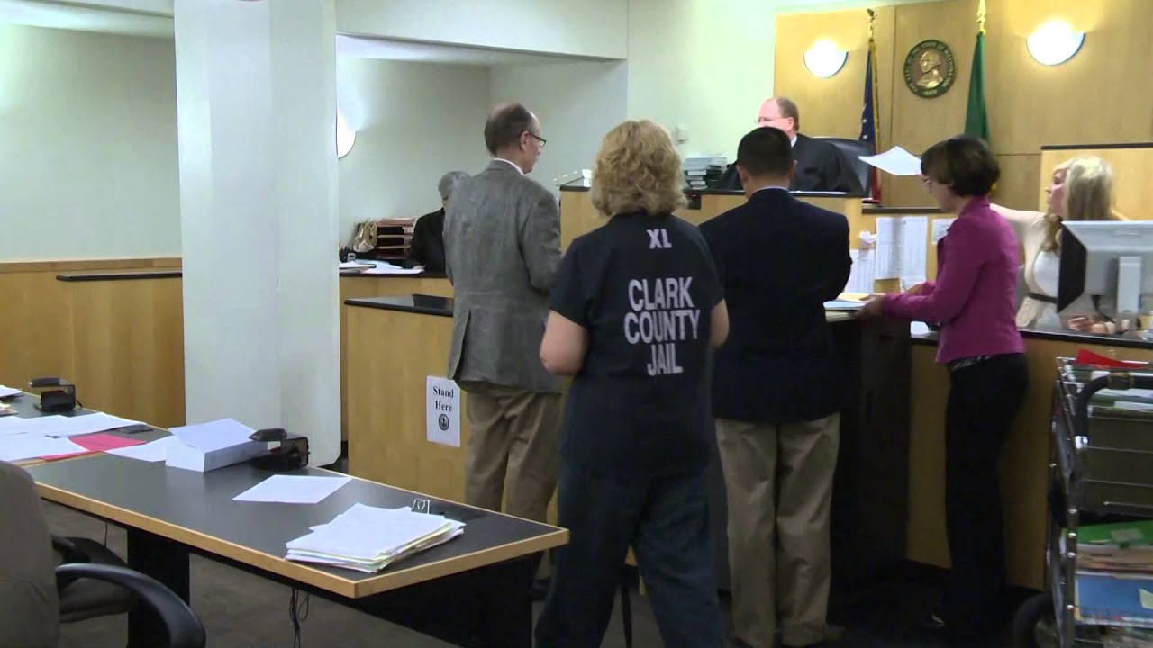 KGW video: Girlfriend, mother of alleged driver in fatal hit-and-run post bail