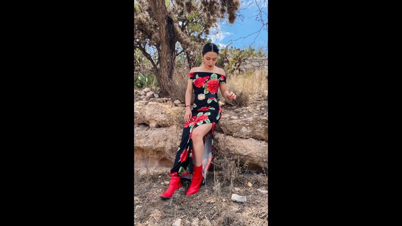 CAMINOS DE MICHOACÁN / Lucia Hernández / cover