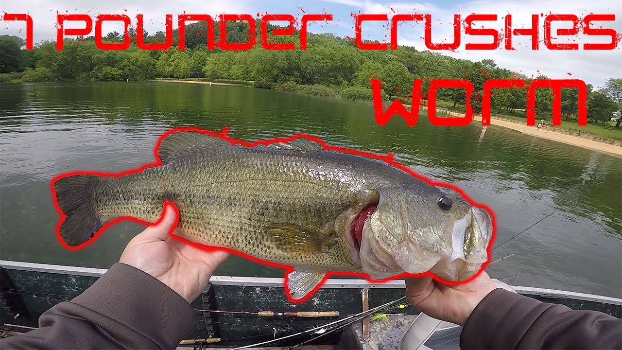Giant 7 POUND Bass CRUSHES Worm (Wisconsin Bass Fishing)