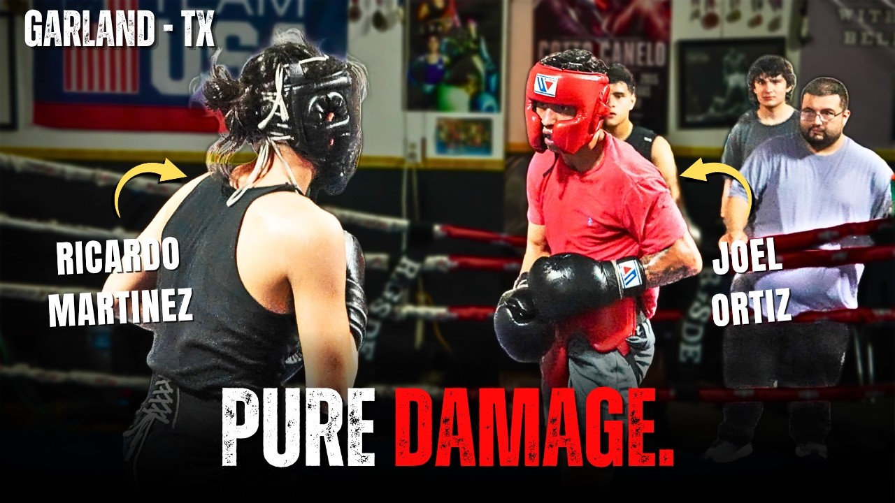 SFA BOXING! PUNISHING Mid Week Sparring Between Rival Gyms!