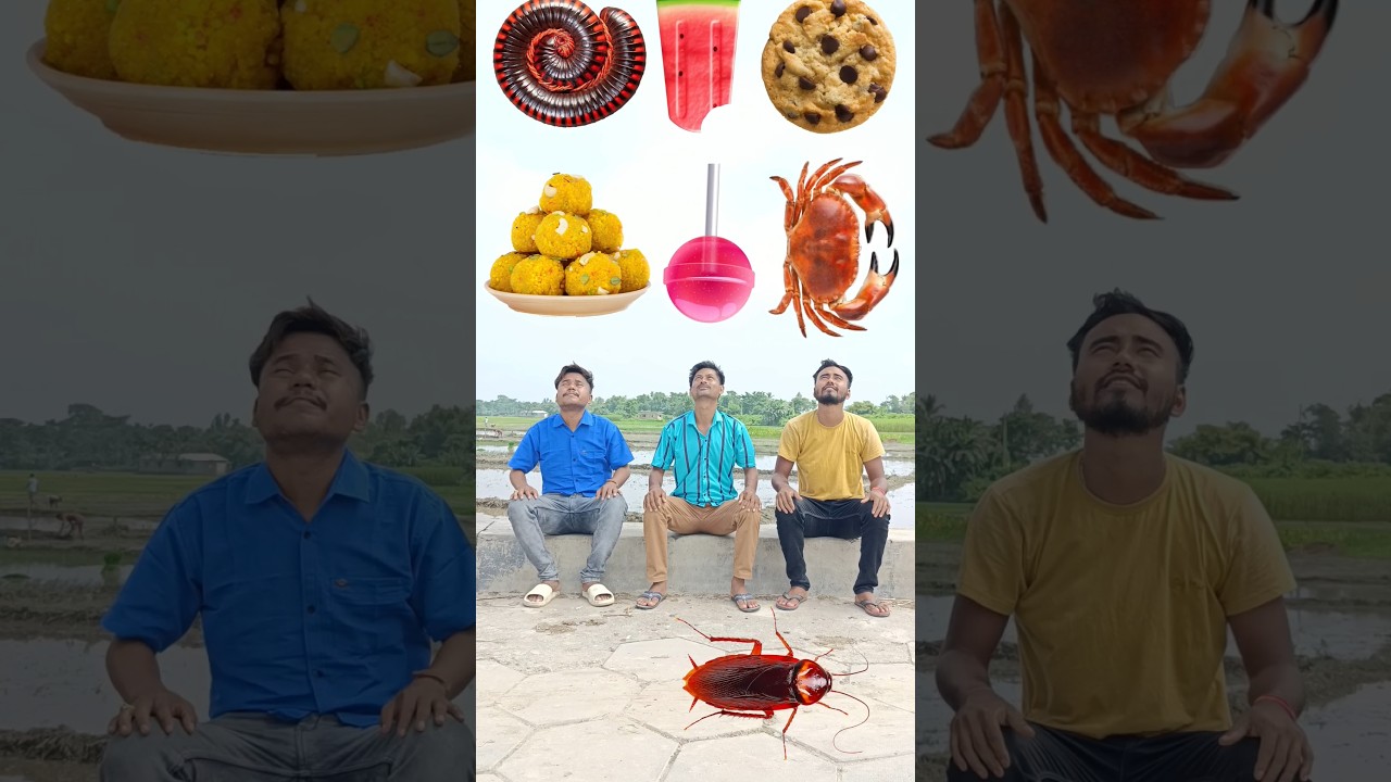 3 brothers eating game new magic #vfxmantu #shorts